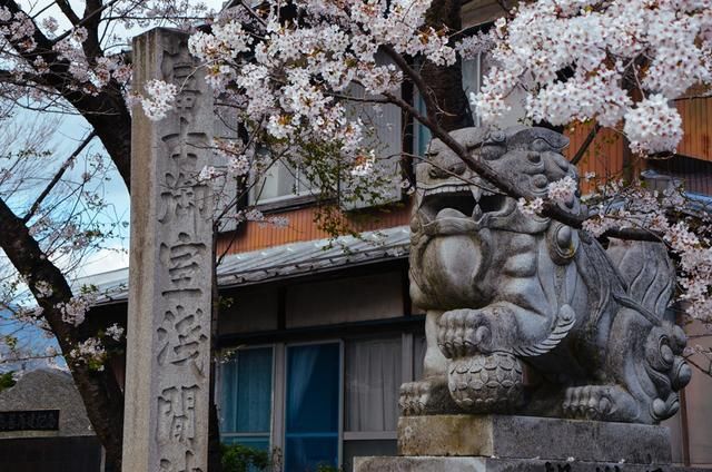 仁慈医院 推荐视频