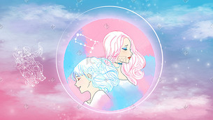 冒牌杀手 产品图片