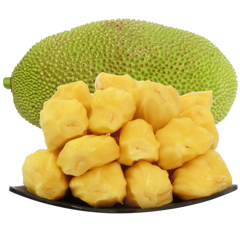 你房里有人 推荐视频