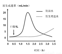 名侦探柯南：江户川柯南失踪事件 推荐视频