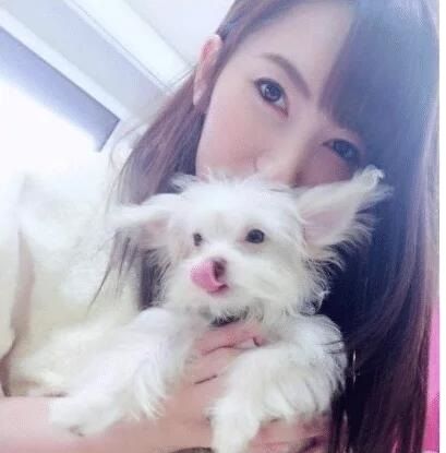 伊丽莎白镇 视频主图