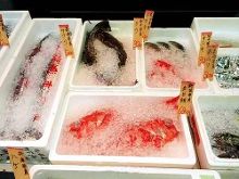 僵尸刑警 推荐视频