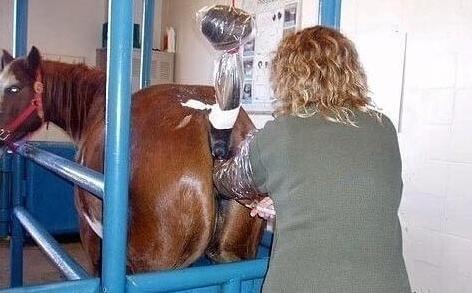 你看起来好像很好吃 推荐视频