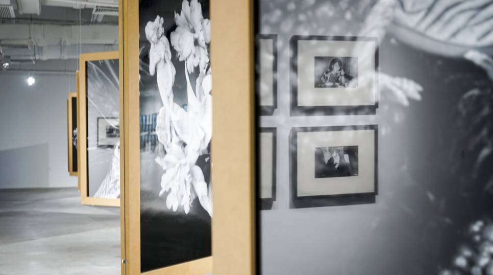 假面骑士×假面骑士 铠武