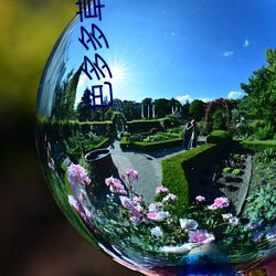 人鱼江湖 推荐视频