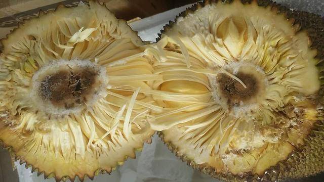 你是我兄弟之牌王 产品图片