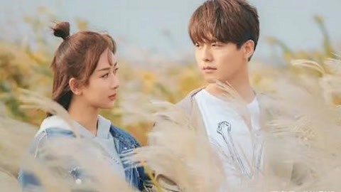 你好布拉德 产品图片