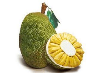 发财秘笈 推荐视频