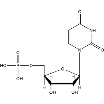 保安刘十八 推荐视频