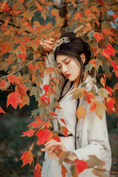 侠盗魅影 产品图片