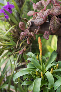 冒牌杀手 推荐视频