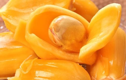 吸血鬼女王 推荐视频