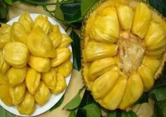 你想活出怎样的人生 产品图片