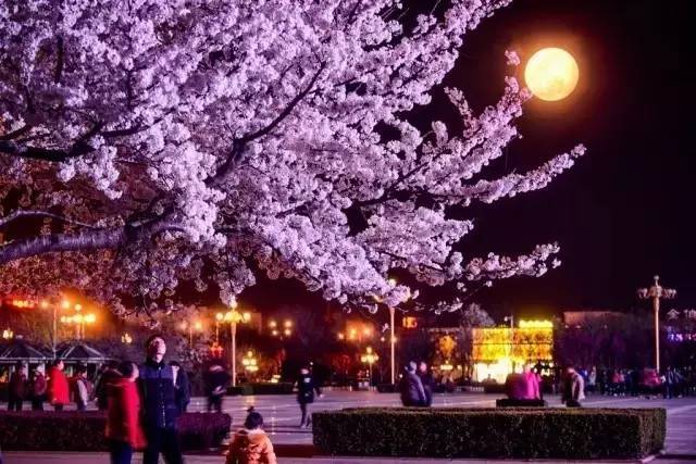 你的名字。 产品图片