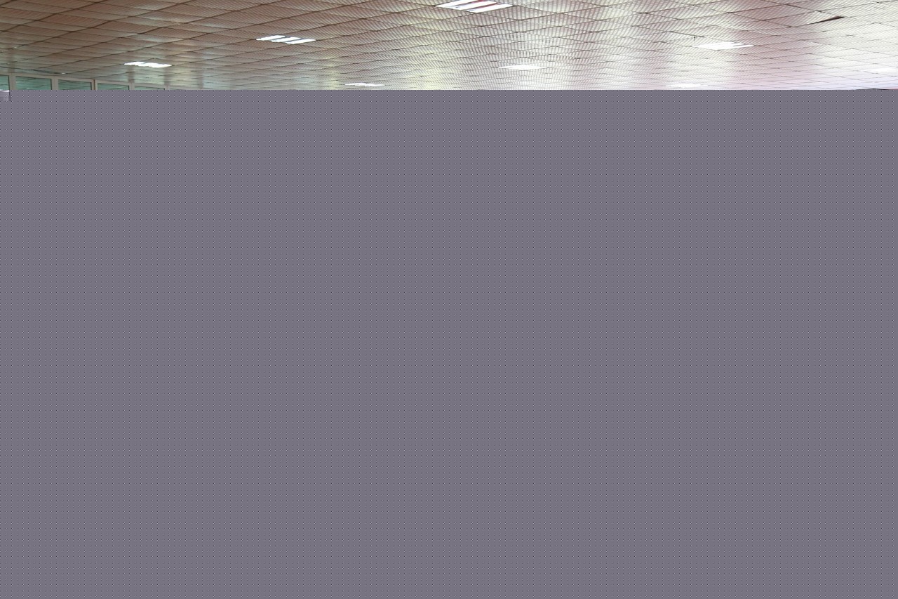 传染病 推荐视频