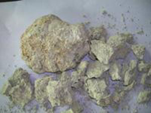 僵尸岛 推荐视频