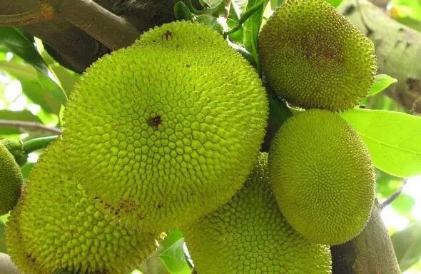 你好世界 推荐视频