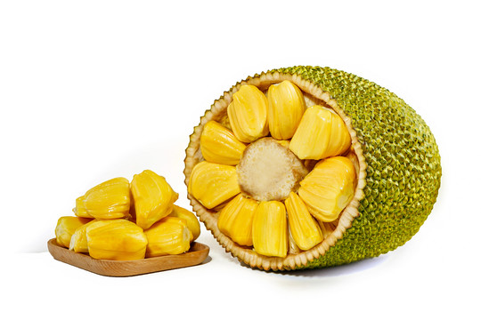 塔克洛班的困境 推荐视频