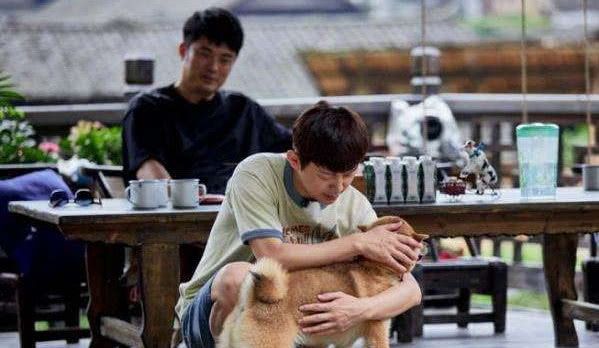 各有少年时 产品图片