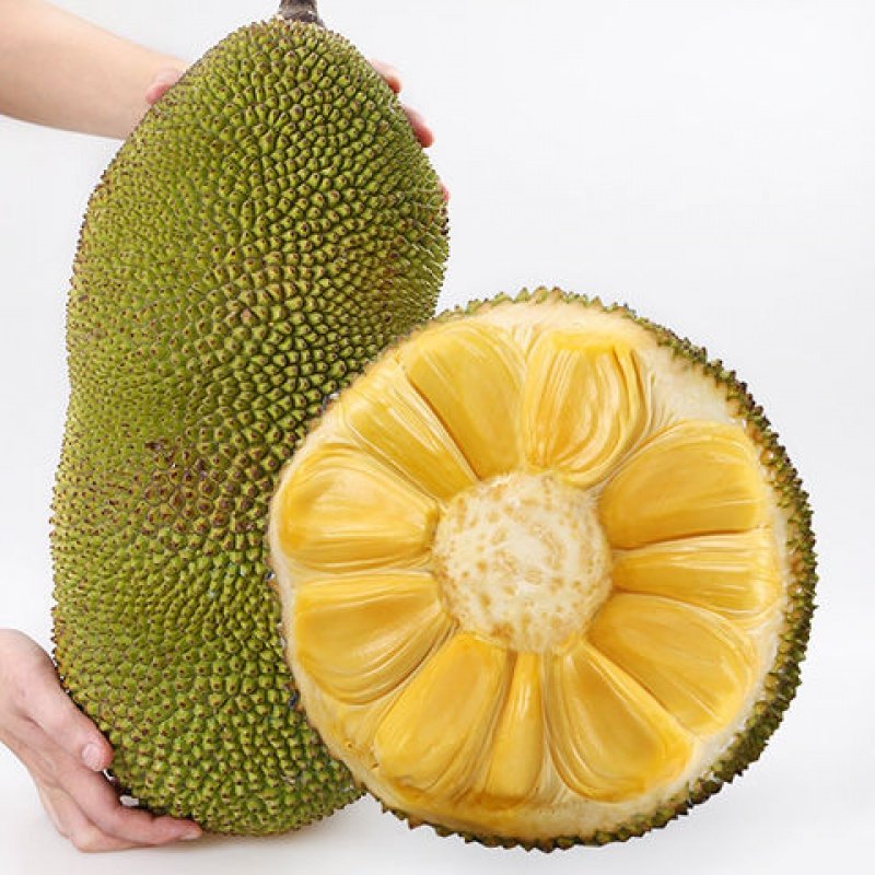 你好，老挝婚礼 推荐视频