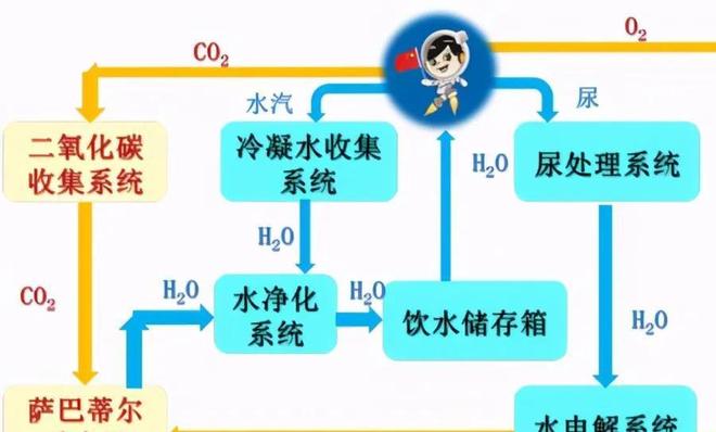 你好，我叫多蕾丝 推荐视频