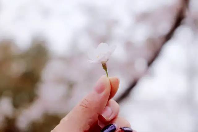 僵尸古刹 推荐视频