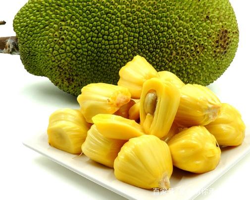 多米诺 推荐视频