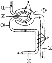 偷渡者 推荐视频
