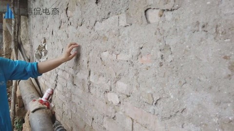 僵尸大时代 视频封面