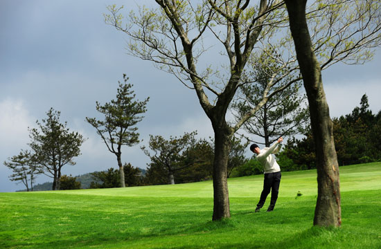 你是我的吸血鬼 推荐视频