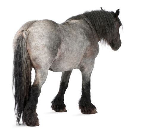 地狱屋起源：卡迈克尔庄园 推荐视频