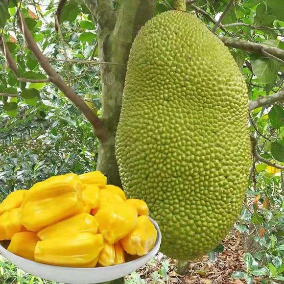 你的名字。 推荐视频