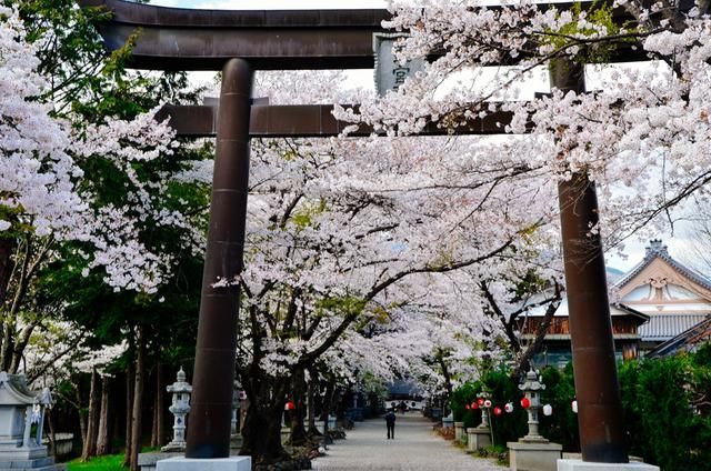 冤情必报 推荐视频