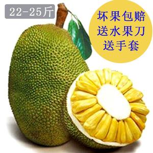 偷天盗日 推荐视频