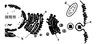 何以为家 推荐视频