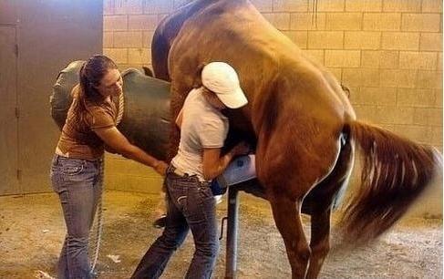 伏虎武松 推荐视频