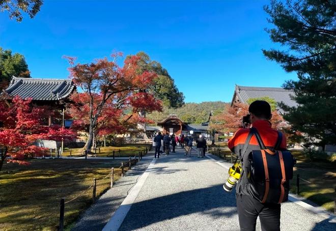 伏妖开封府之御猫展昭 产品图片