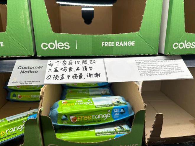 双面伴娘 推荐视频