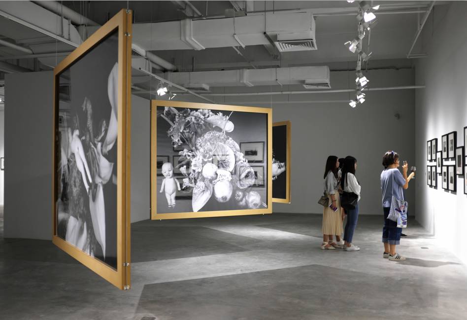 催眠裁决 推荐视频