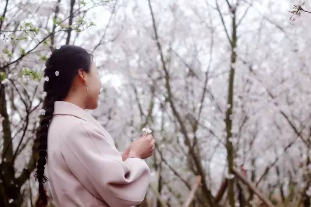 企鹅小守护 推荐视频