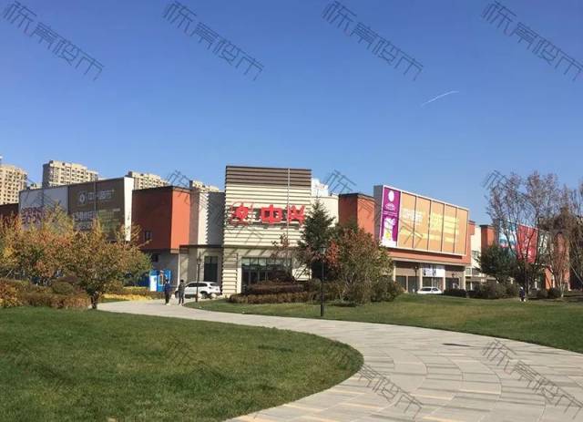 夏日情深深 产品图片