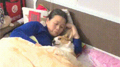 伦敦塔闹鬼 产品图片