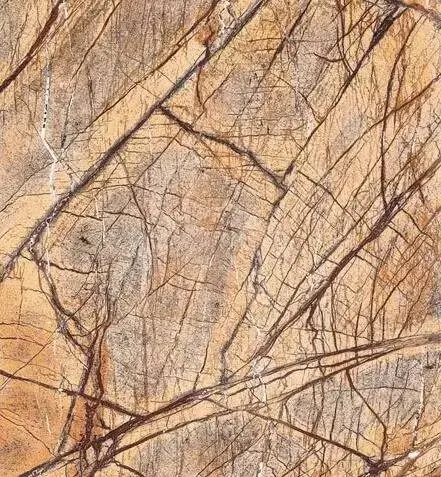 催命符之劫后重生