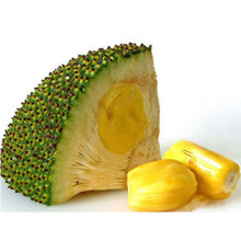 五便士乐队 视频主图