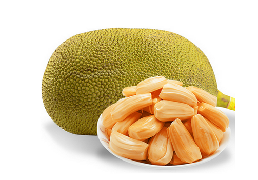 你的世界如果没有我 推荐视频