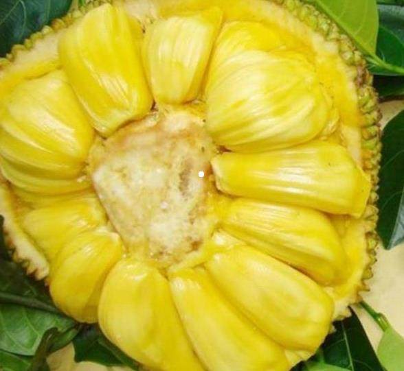 垂死一眼 推荐视频